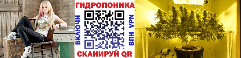 Где можно купить наркотики Кирово-Чепецк COCAIN ГАШ Псилоцибиновые грибы Кодеин Марихуана