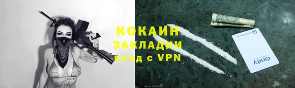 крисы Аркадак