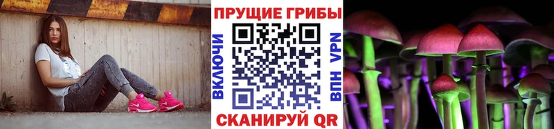 Псилоцибиновые грибы мицелий  продажа наркотиков  Кирово-Чепецк 